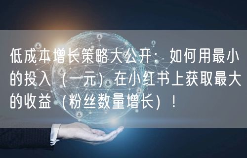 低成本增长策略大公开：如何用最小的投入（一元）在小红书上获取最大的收益（粉丝数量