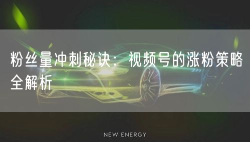 粉丝量冲刺秘诀：视频号的涨粉策略全解析