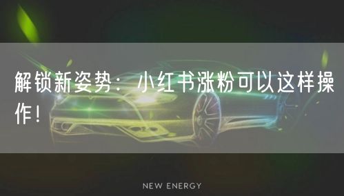 解锁新姿势：小红书涨粉可以这样操作！
