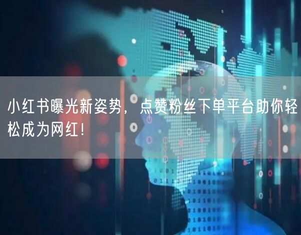 小红书曝光新姿势，点赞粉丝下单平台助你轻松成为网红！