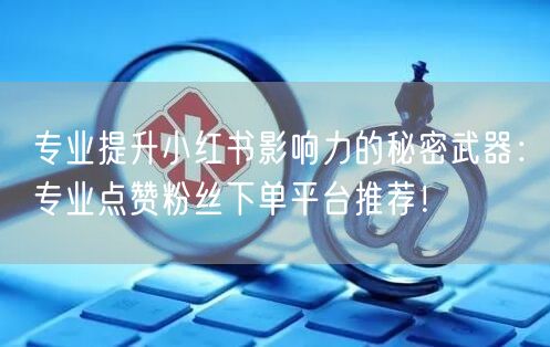 专业提升小红书影响力的秘密武器：专业点赞粉丝下单平台推荐！