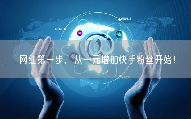 网红第一步，从一元增加快手粉丝开始！