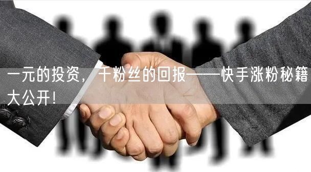 一元的投资，千粉丝的回报——快手涨粉秘籍大公开！