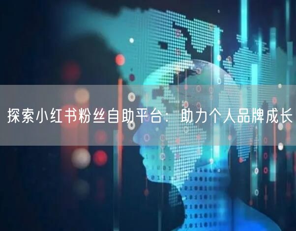 探索小红书粉丝自助平台：助力个人品牌成长