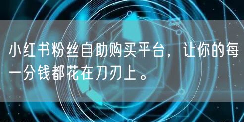 小红书粉丝自助购买平台，让你的每一分钱都花在刀刃上。
