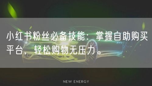 小红书粉丝必备技能：掌握自助购买平台，轻松购物无压力。