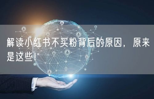 解读小红书不买粉背后的原因，原来是这些！