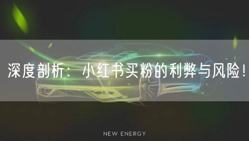 深度剖析：小红书买粉的利弊与风险！