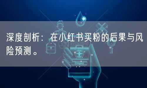 深度剖析：在小红书买粉的后果与风险预测。