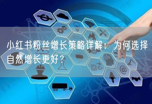 小红书粉丝增长策略详解：为何选择自然增长更好？