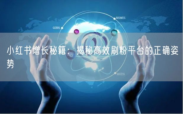 小红书增长秘籍：揭秘高效刷粉平台的正确姿势