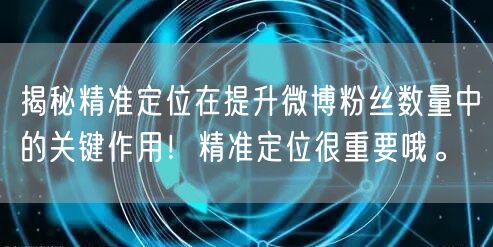 揭秘精准定位在提升微博粉丝数量中的关键作用！精准定位很重要哦。